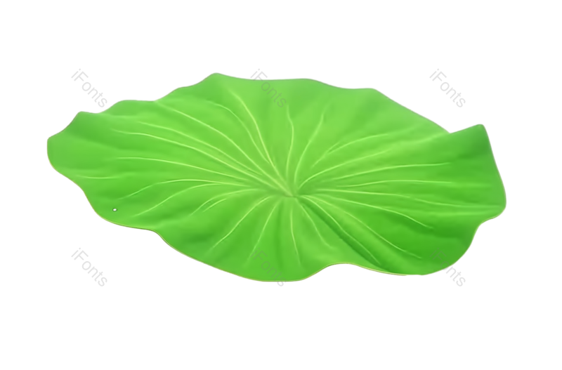 叶子图片,清新元素,荷花PNG,夏天免抠素材